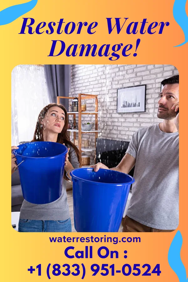 water restoration Prime Flood Cleanup & Associates El Dara