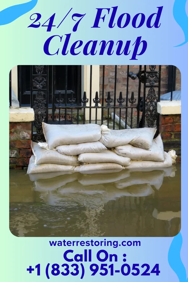 24/7 Flood Cleanup in El Dara, IL