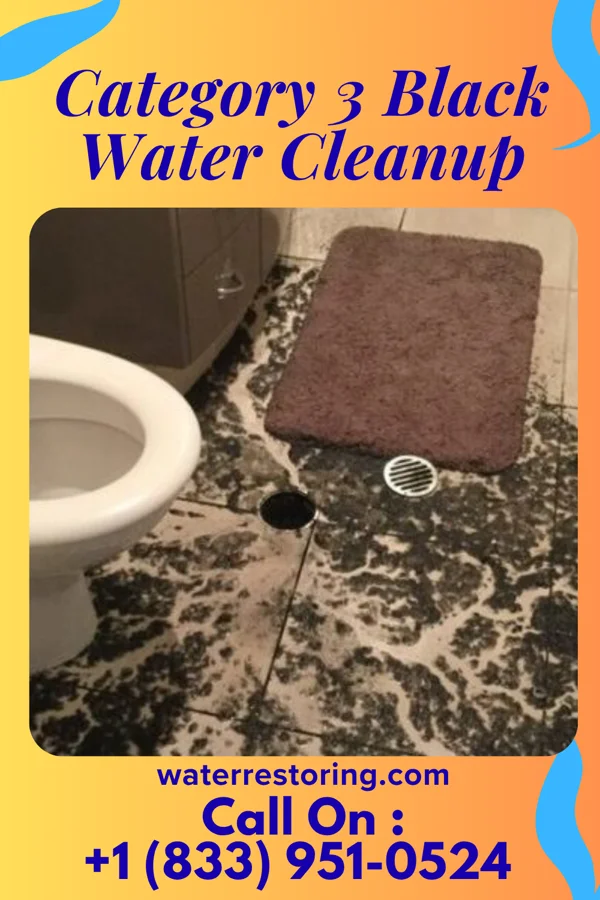 Category 3 Black Water Cleanup in El Dara, IL