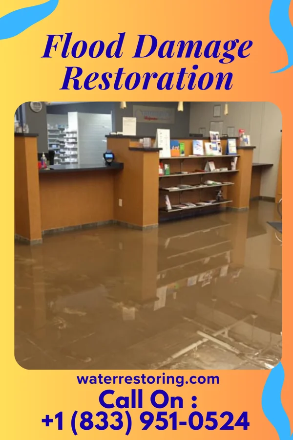 Flood Damage Restoration in El Dara, IL