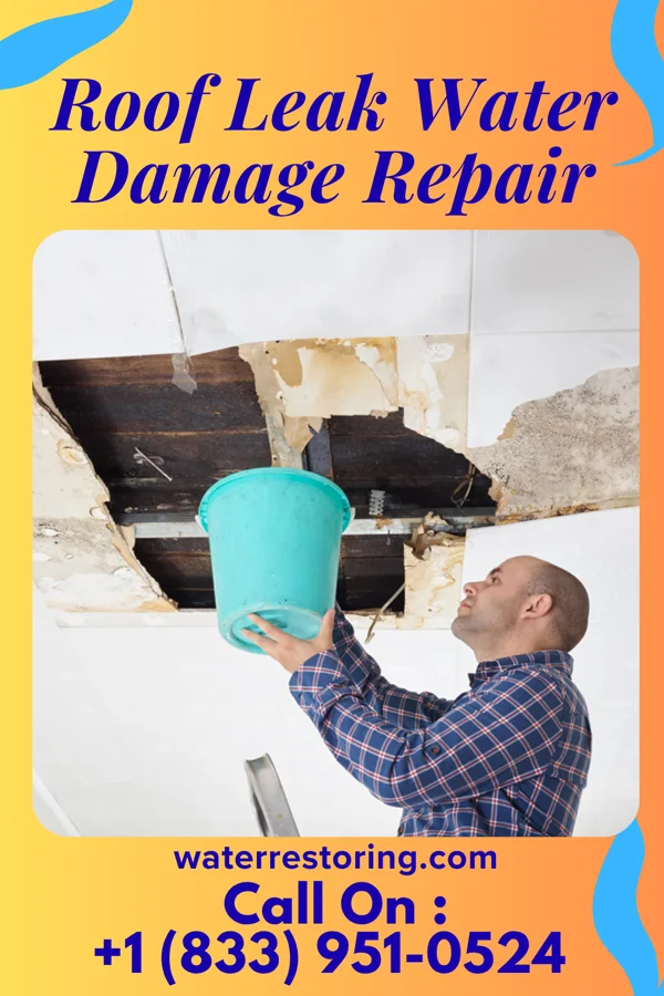 Roof Leak Water Damage Repair in El Dara, IL
