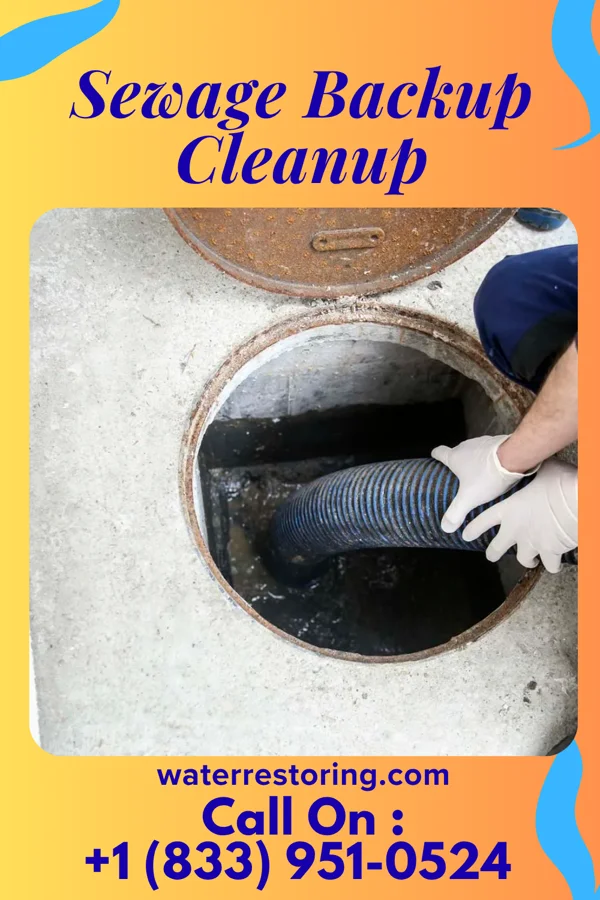 Sewage Backup Cleanup in El Dara, IL