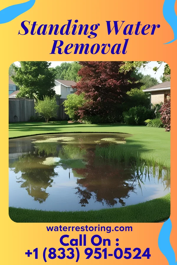 Standing Water Removal in El Dara, IL